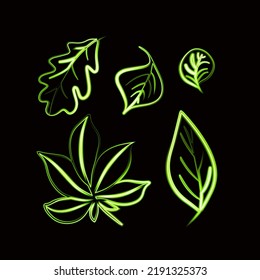A set of leaves of different types with a neon effect.