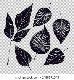 Set of leaves of different vegetation. Vector graphics with black isolated objects.