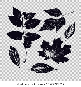 Set of leaves of different vegetation. Vector graphics with black isolated objects.