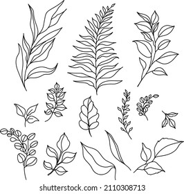 Set of leaves in doodle style. Vector graphics.