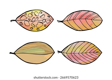 Coloca las hojas en estilo doodle. Elementos de diseño de línea dibujados a mano de Vector.