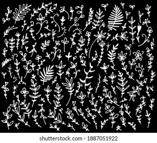 a set of leaves drawn by hand . Vector hand-drawn illustration in simple doodle style for postcards and textiles. Isolated objects with a white outline on a black background for templates and design.
