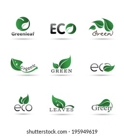 Set Leaves Eco icon vector