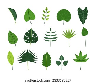 Set of leaves element flat design illustration