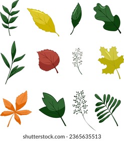 Set of leaves elements. Collection botanical vector isolated on white background