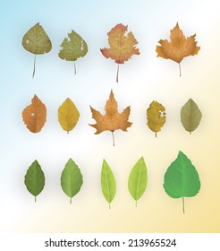 Set of leaves. First two rows are autumn leaves, the third row is spring leaves. EPS10.