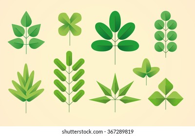 Set of leaves. Flat style with gradients
