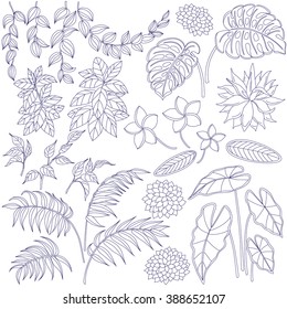 Set of leaves and flowers. Contoured image  of tropical plants. Floral elements for coloring. 