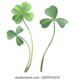 A set of leaves and flowers of a fern in a botanical style, a symbol of the holiday of St. Patrick's Day