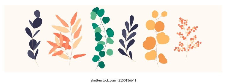 Set of leaves, flowers, plants. Floral wedding objects, botanical foliage. Elegant herbal spring illustration, vector