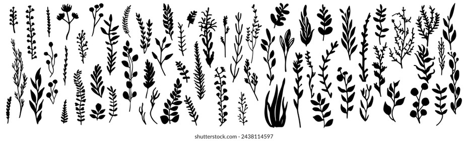set of leaves foliage doodle hand drawing elements.