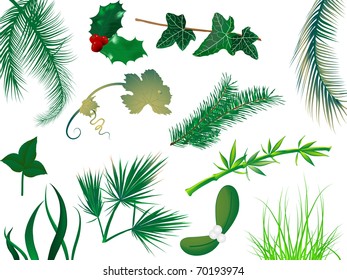 Set of leaves and grass