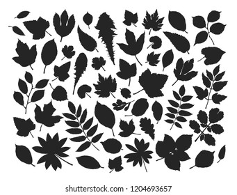 Set leaves and grass. Nature concept. Silhouette vector illustration