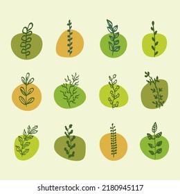 Set of leaves, great design for any purposes. Vector illustration isolated. Vector illustration art.Plant floral design. Spring, summer garden.