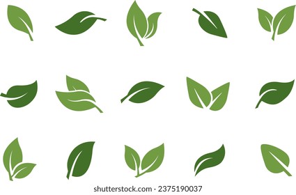 set of leaves green leaf nature art illustration vector sticker icon symbol graphic design environment plant 