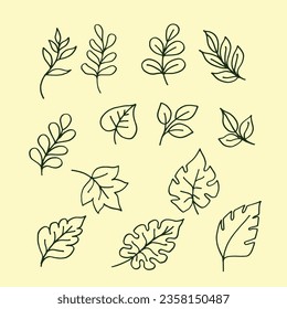 set of leaves hand draw illustration background template vector 