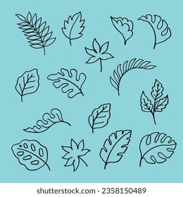 set of leaves hand draw illustration background template vector 
