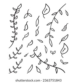 Set of leaves, Hand drawn abstract leaf, hand drawn botanical illustration, set of various leaf elements, abstract leaf with doodle style