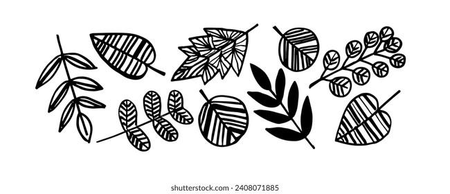 Set  with leaves  . Hand drawn black brush botanical ornament. Hand drawn vector eucalyptus, laurel twigs. Dry brush style floral motives. Monochrome print.