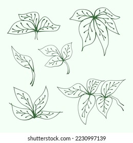 set of leaves. Hand drawn branches with leaves and branch. plant. leaf outline for decoration. Vector Collection of Leaf Silhouettes. 