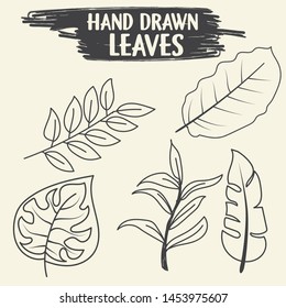 Set of leaves. Hand drawn decorative elements. Vector illustration. Flowers drawing with line-art