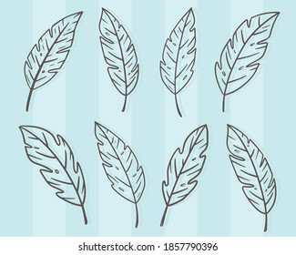 Set of leaves Hand drawn decorative elements Vector illustration