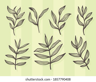 Set of leaves Hand drawn decorative elements Vector illustration