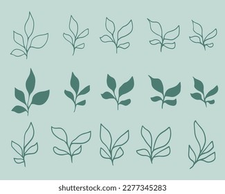 Menge Blätter. Handgezeichnete dekorative Elemente. Bio-pflanzliche Blätter, Pflanzen, Vektorgrafiken für Blumenmuster