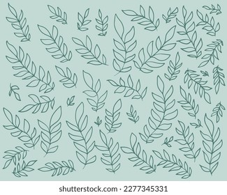 Set of leaves. Hand drawn decorative elements. Organic botanical leaves, plants, floral illustration vectors