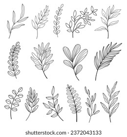 Set of leaves. Hand drawn decorative elements. Vector illustration