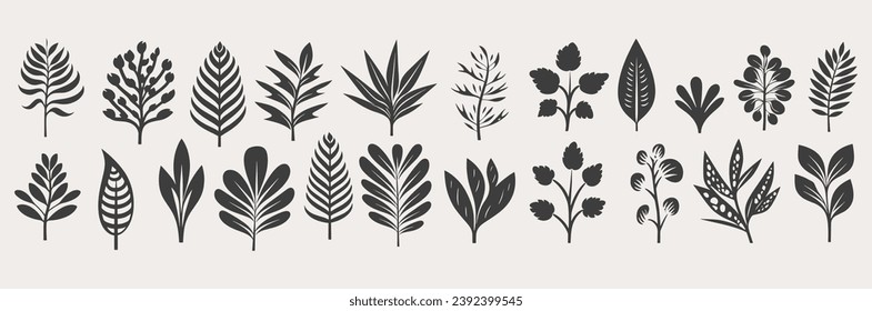 Set of leaves. Hand drawn decorative elements. Vector illustration