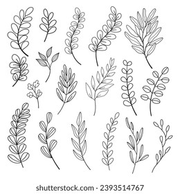 Set of leaves. Hand drawn decorative elements. Vector illustration