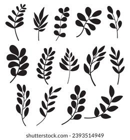 Set of leaves. Hand drawn decorative elements. Vector illustration