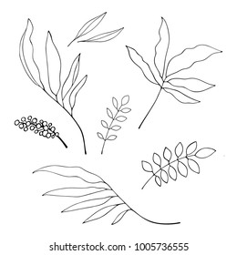 Set of leaves in hand-drawn style. Vector image isolated on white.