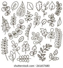  Set of leaves. Herbarium set. Hand drawn vector illustration.