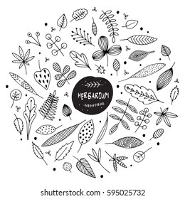 Set of leaves and herbs in round. Herbarium. Abstract isolated design elements. Hand drawn vector black and white illustrations. Cartoon, doodle. Colouring page.