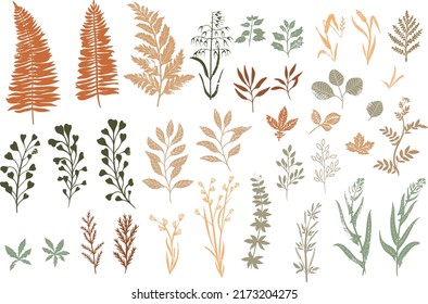 Un conjunto de hojas y hierbas con elementos de textura en tonos naturales. Diseño de hoja vectorial. Una postal, una invitación. Bordes decorativos, hojas de helecho, hierba, herbario, colores naturales.