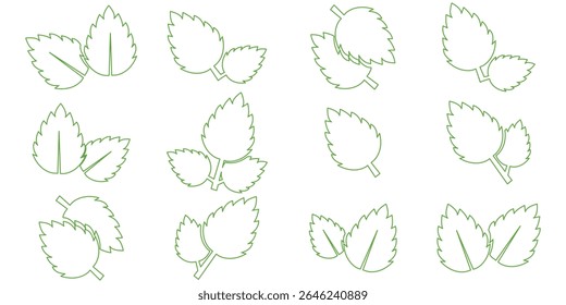 Set of leaves icon isolate with white background. Vector editable outline stroke.