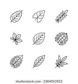 set of leaves icon for web