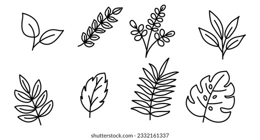 Set of Leaves icon.Hand drawn doodle tropical leaf isolated on white background. Vector illustration.