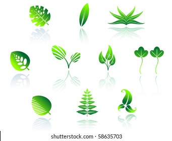 Set of leaves icons - also as emblem. Jpeg version also available