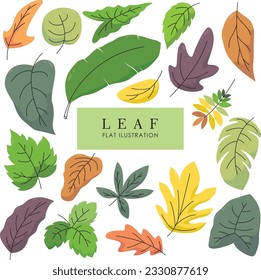 Set of leaves ilustration design element in flat style vector