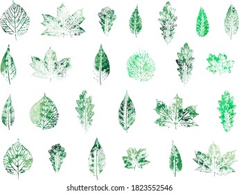 Set of leaves imprints. Green watercolor seasonal design. 