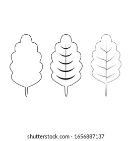 Blätterset einzeln auf weißem Hintergrund.Studioaufnahme.Blätter mit Venen.Botanische Illustration.Vektorillustration Illustration