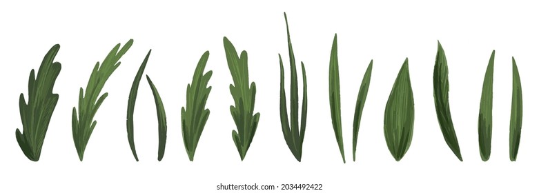 A set of leaves isolated on white. A set of herbs and leaves for the composition. Hand-drawn style, nature illustration.