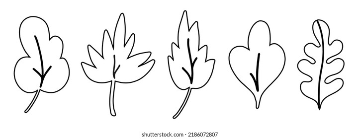 Set of leaves isolated on white background. Simple cartoon flat style. Coloring book for children, line drawing.