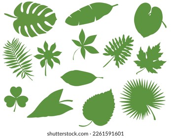Set of leaves isolated on white background.