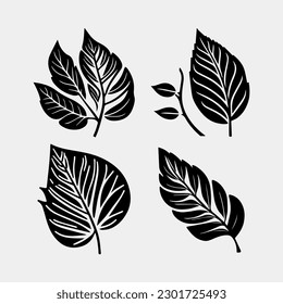 set of leaves isolated on white