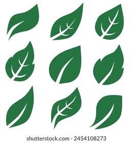 Set of leaves isolated on white background. Simple cartoon, flat style. Vector illustration. EPS 10.