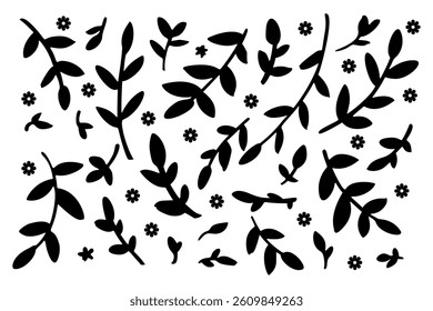 A set  leaves isolated on a white background.  Hand-drawn illustration.  Monochrome vector drawing.